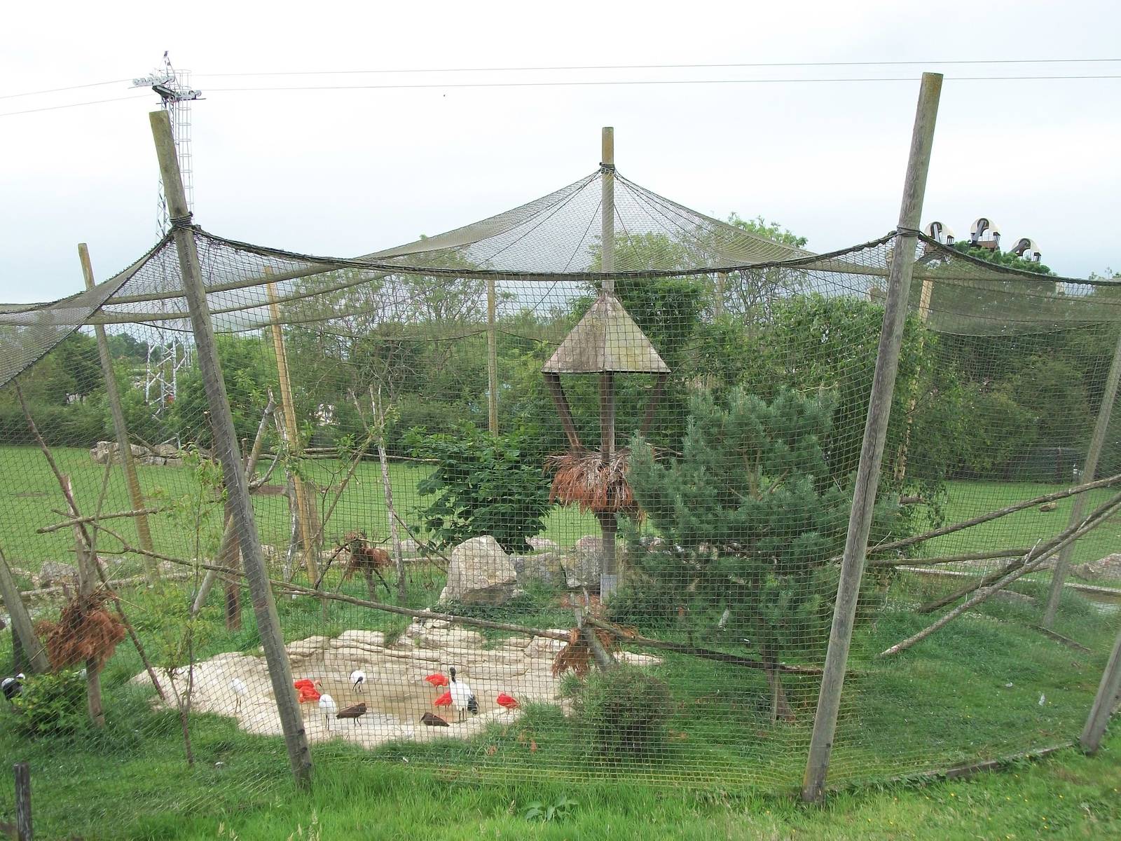 50th Anniversary 28/06/11