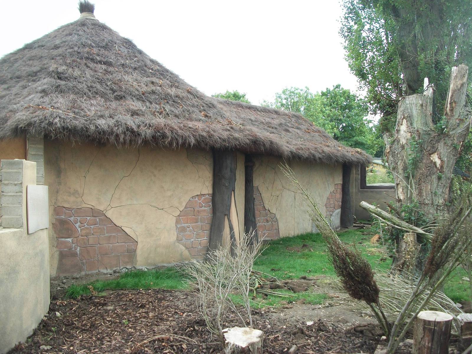 50th Anniversary 28/06/11