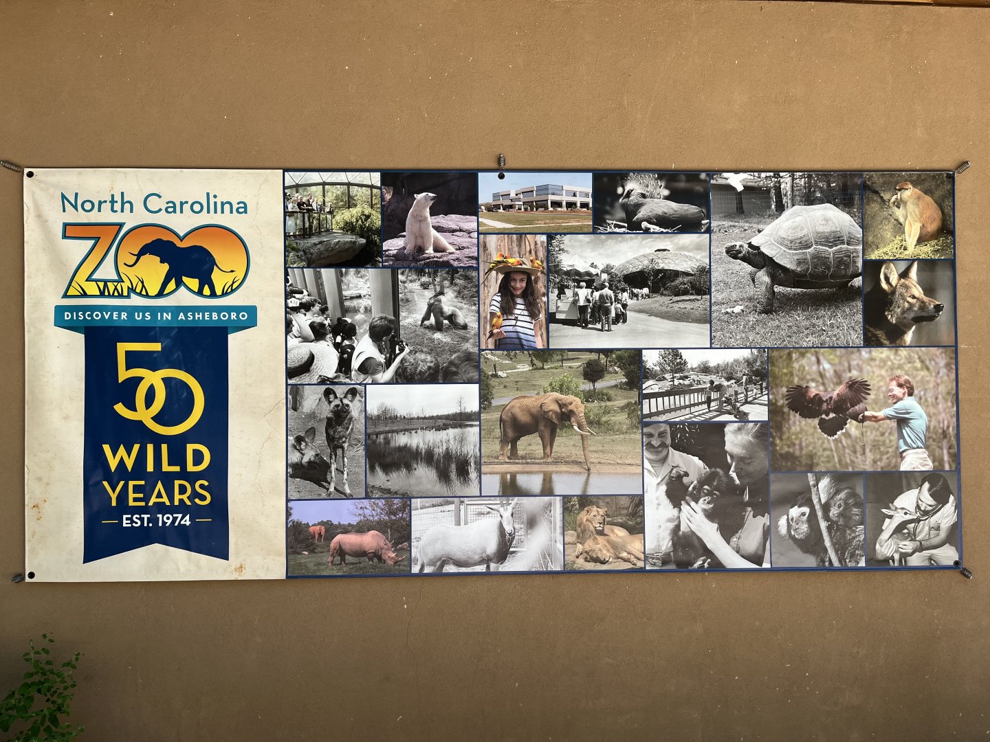 50th anniversary banner on Watani Restrooms