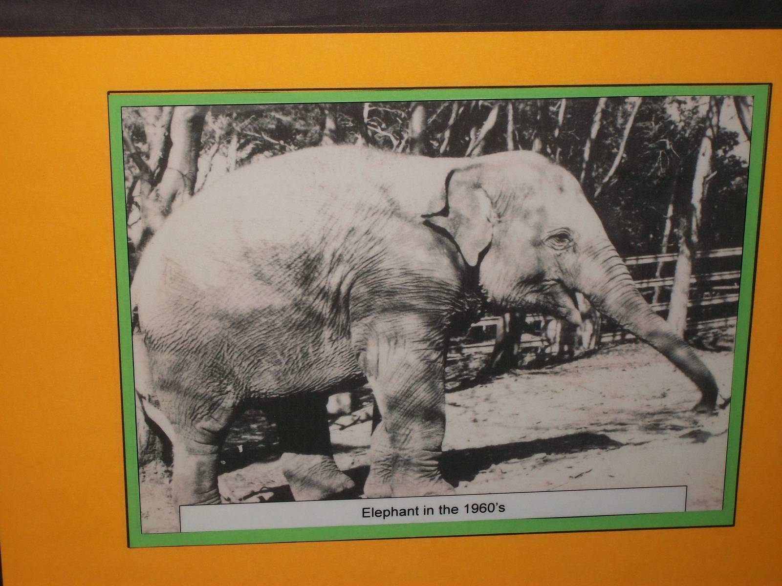 50th Anniversary Photographic Display 20th May 2013