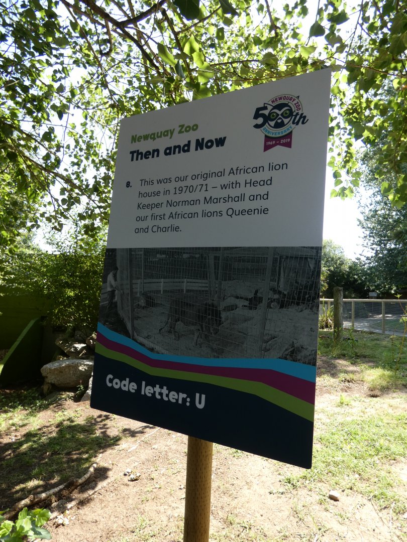 50th anniversary signage