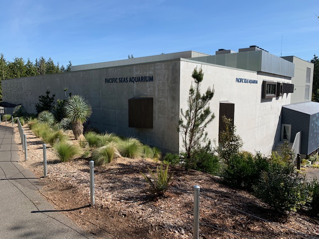 $51 Million Pacific Seas Aquarium (New in 2018)