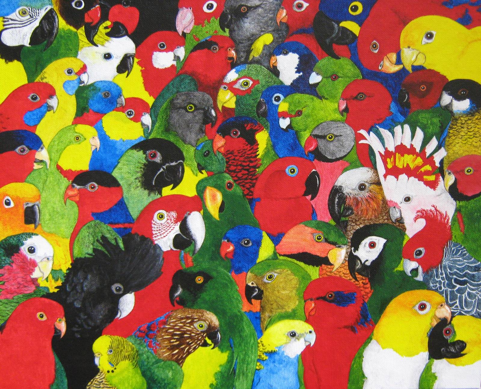 54 Parrots