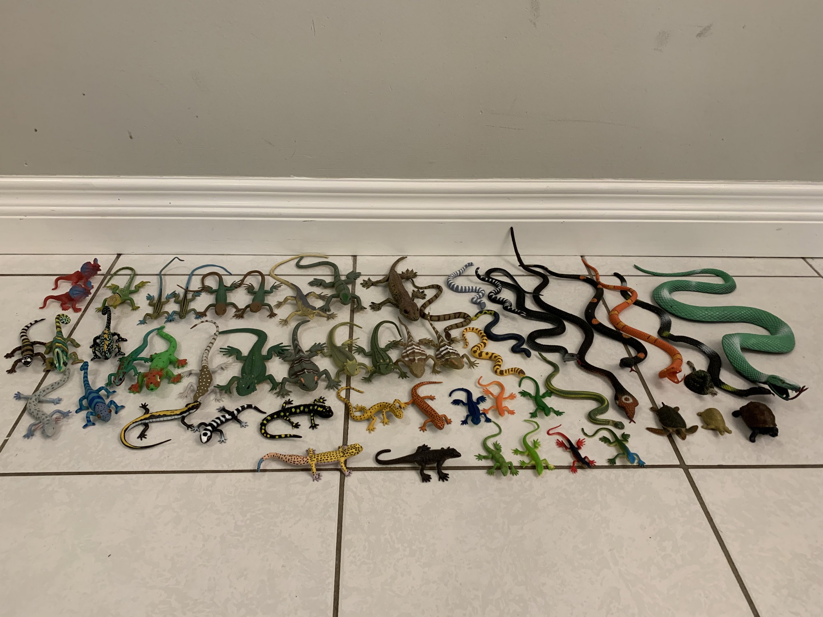 54 Reptiles + Amphibians