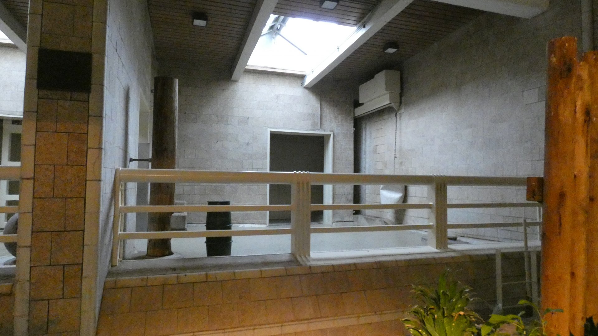 5th Holding Stall, Rhino Building (Former Elephant), African Grasslands - July 2022