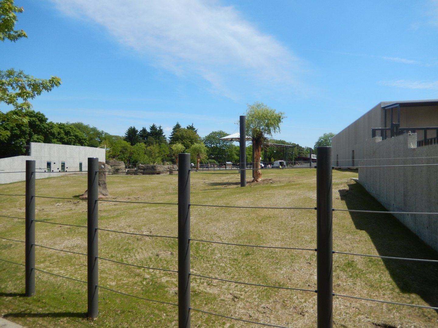 6/11/2019 - African Elephant Habitat - Side View