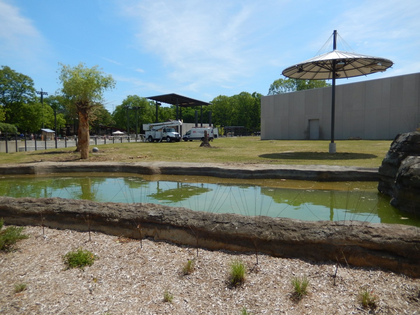 6/11/2019 - African Elephant Habitat - Waterhole View
