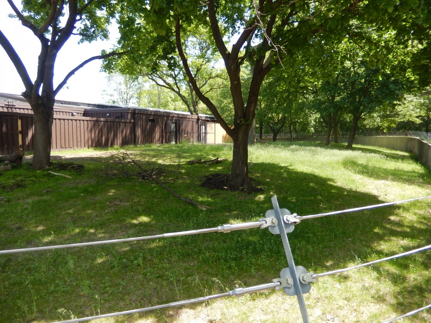 6/11/2019 - African Forest Habitat