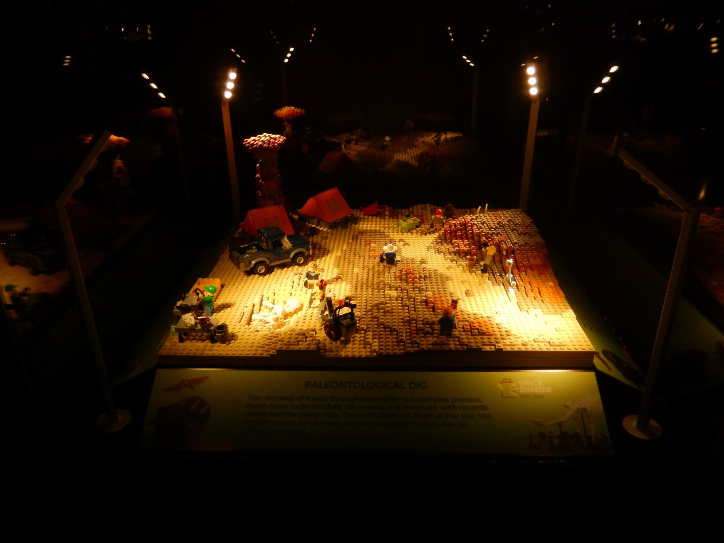 6/11/2019 - Brick Dinos Summer Special Exhibit - Dig Site