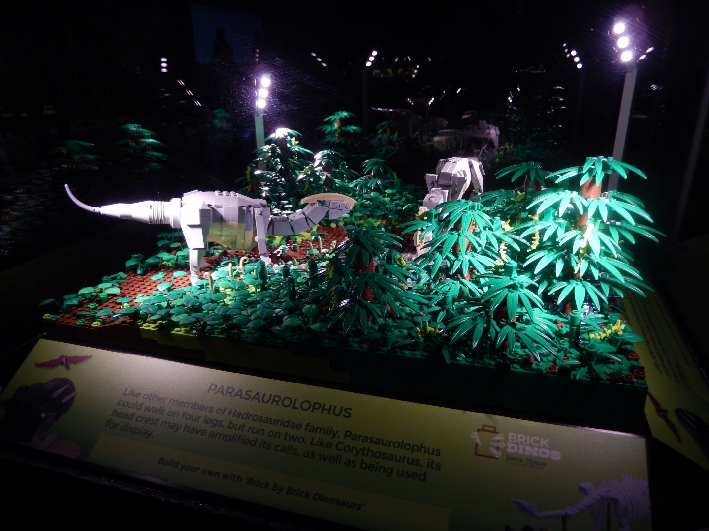 6/11/2019 - Brick Dinos Summer Special Exhibit - Parasaurolophus