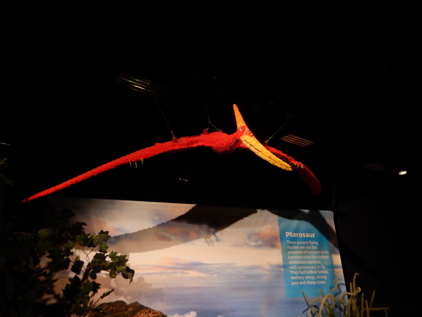 6/11/2019 - Brick Dinos Summer Special Exhibit - Pterosaur