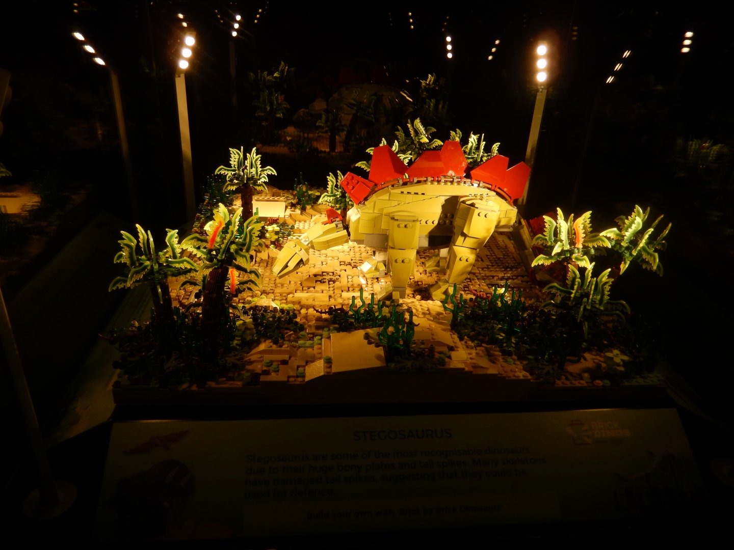 6/11/2019 - Brick Dinos Summer Special Exhibit - Stegosaurus