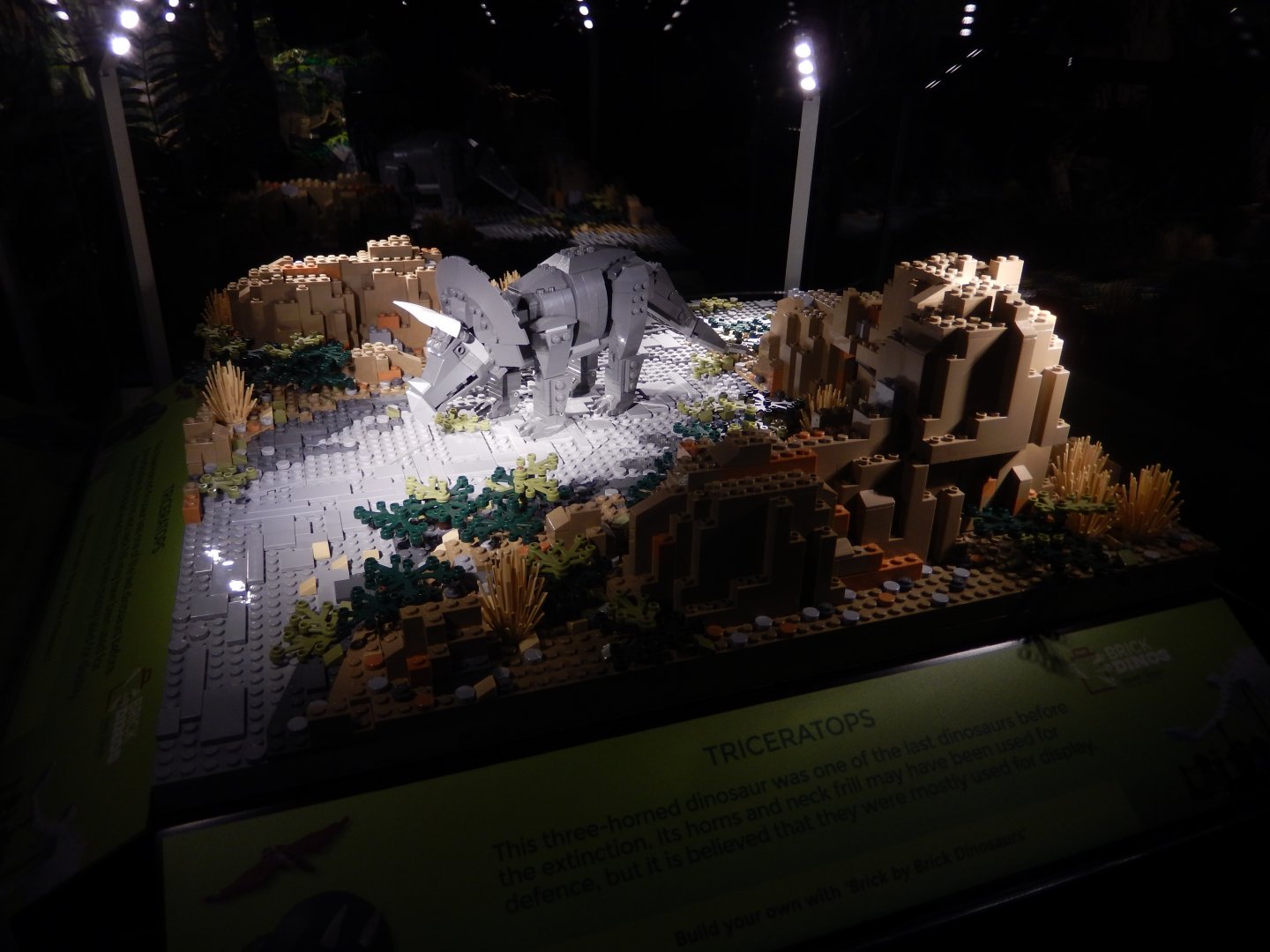 6/11/2019 - Brick Dinos Summer Special Exhibit - Triceratops
