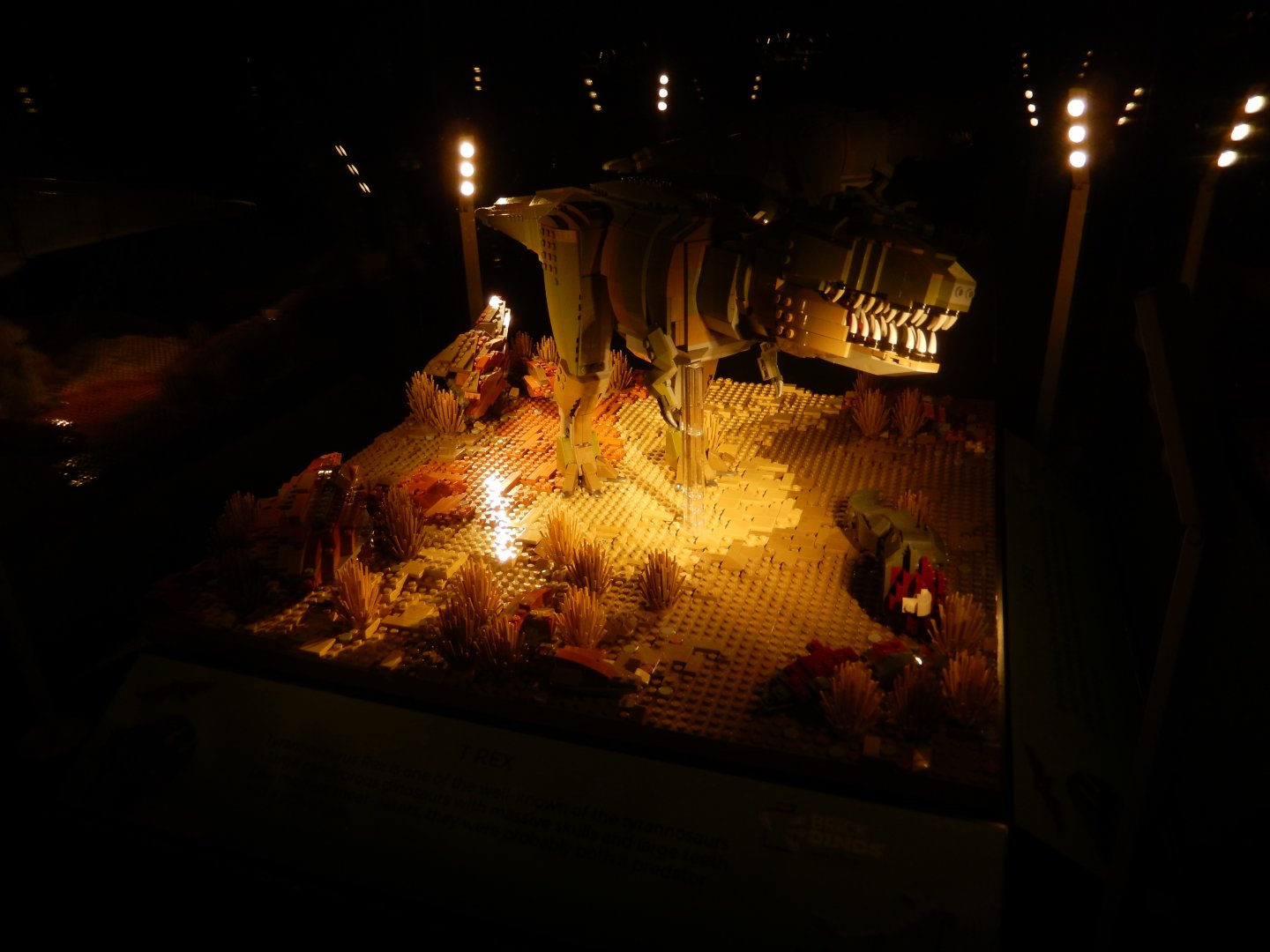 6/11/2019 - Brick Dinos Summer Special Exhibit - Tyrannosaurus Rex