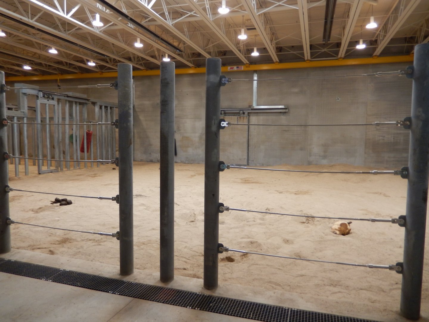 6/11/2019 - Elephant Common Space