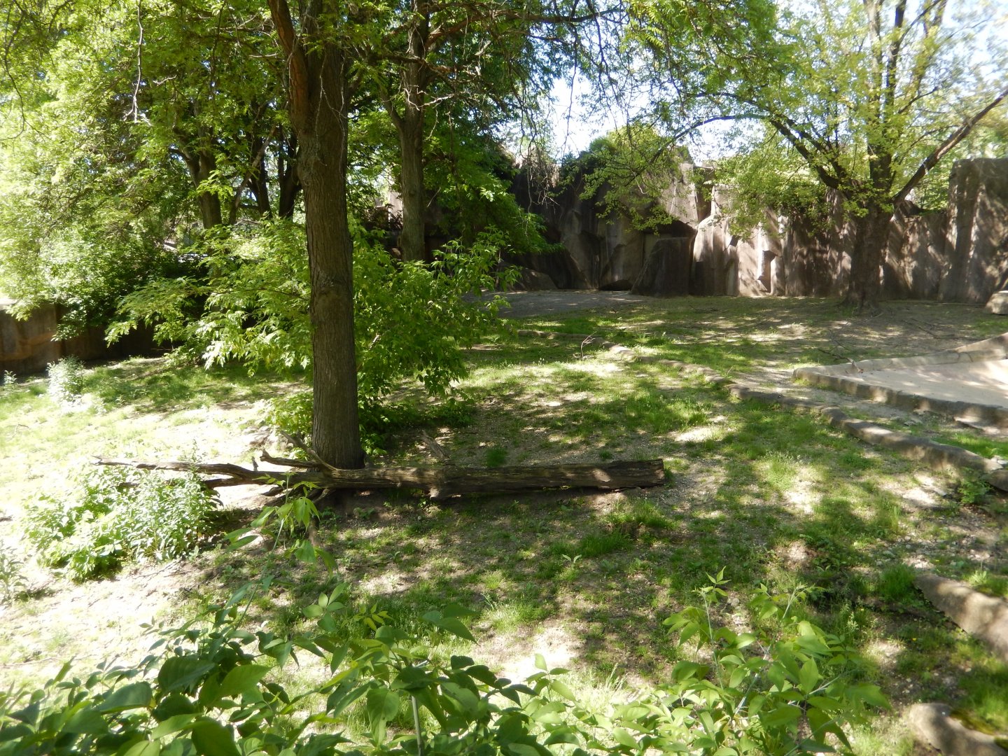 6/11/2019 - Former Bongo, Duiker, and Tortoise Exhibit
