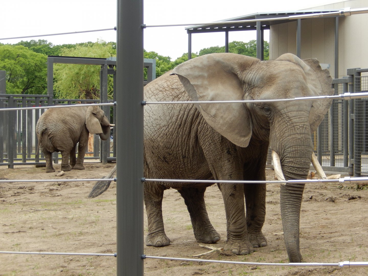 6/11/2019 - Girls Hang Out