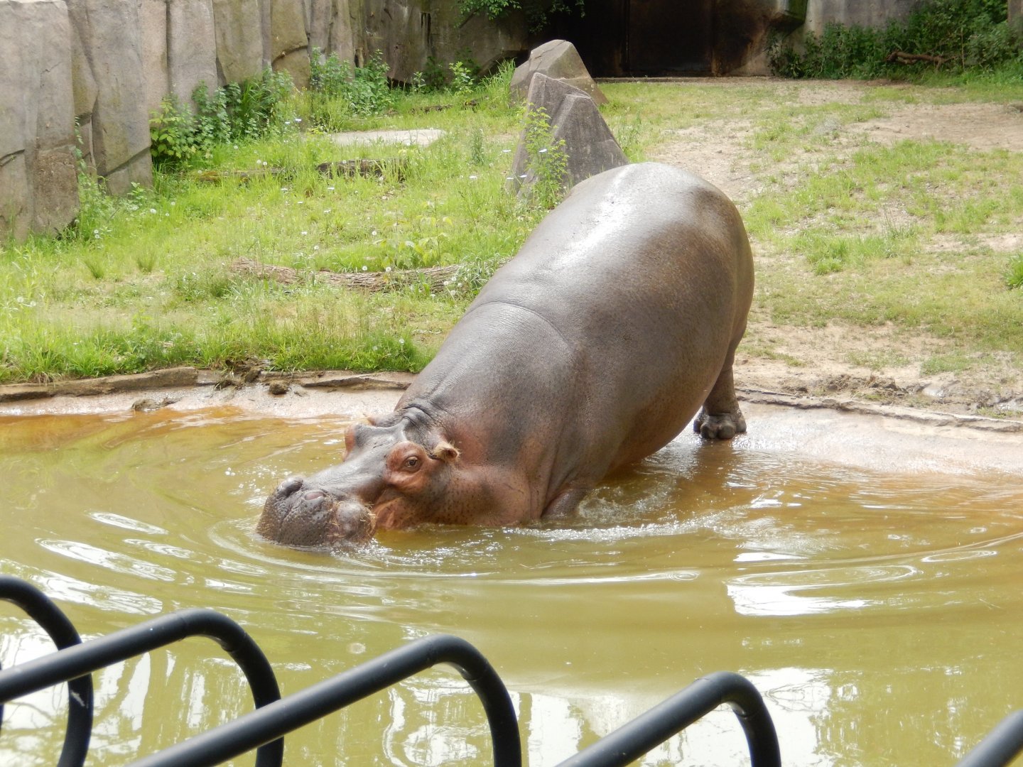 6/11/2019 - Happy Day