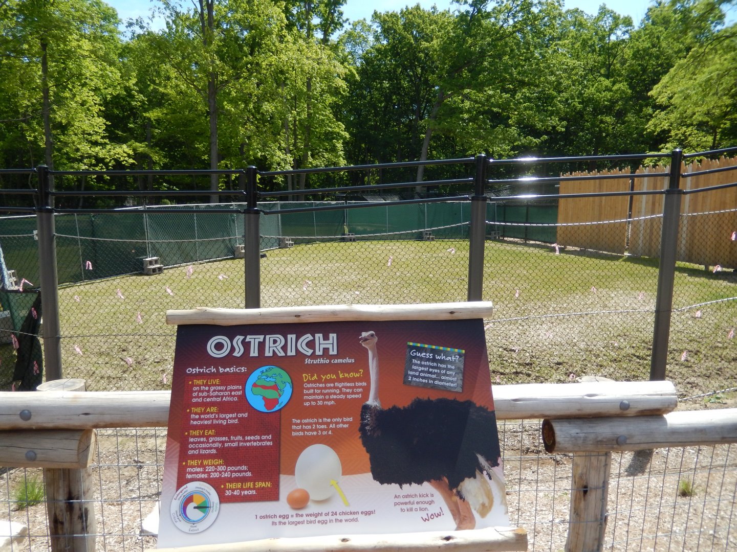 6/11/2019 - Impala Plains Sectioned Off