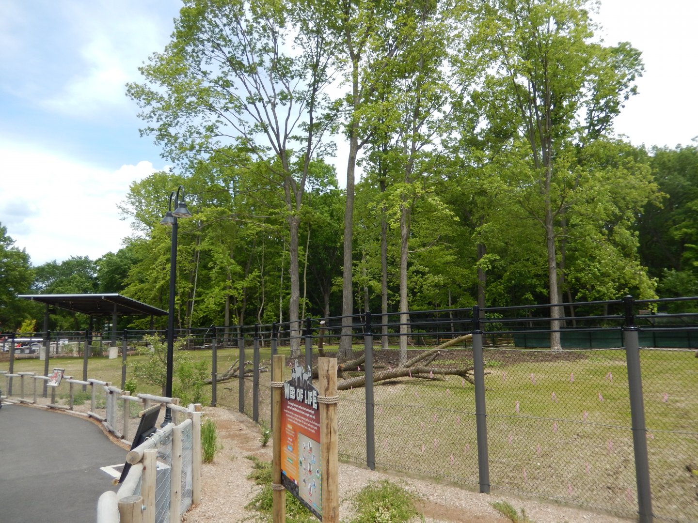 6/11/2019 - Impala Plains