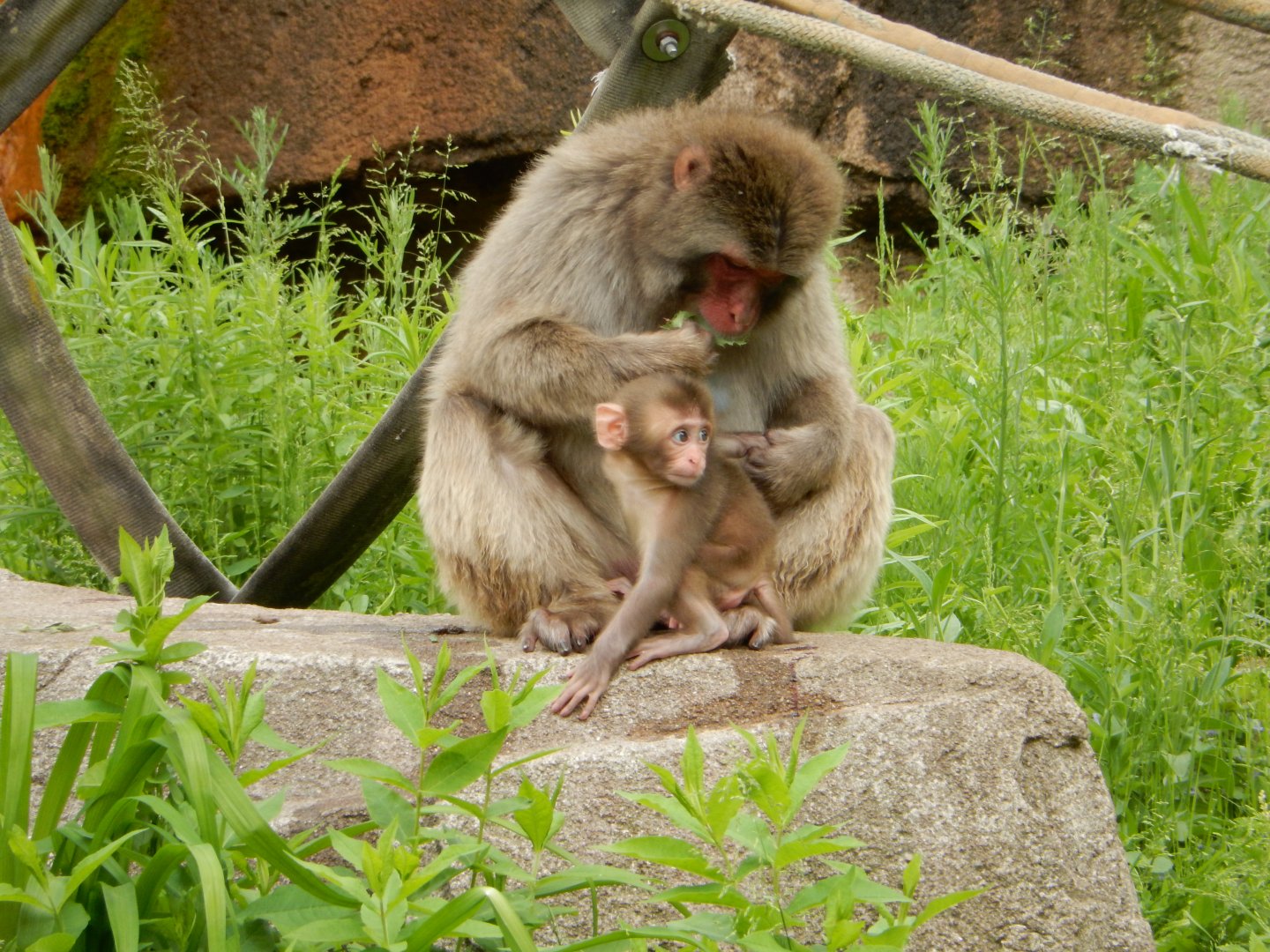 6/11/2019 - Mother and Child