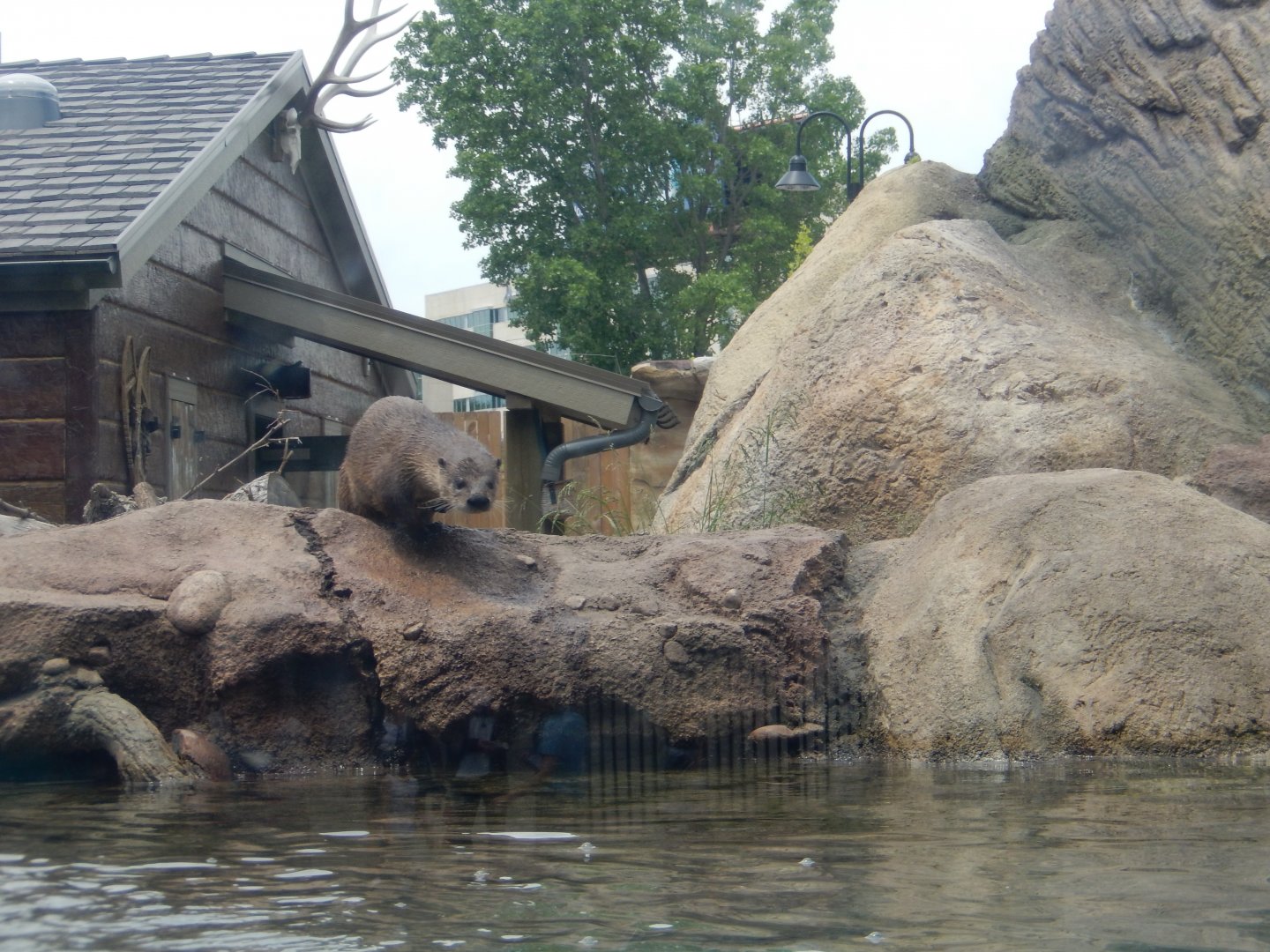 6/11/2019 - Otter Passage