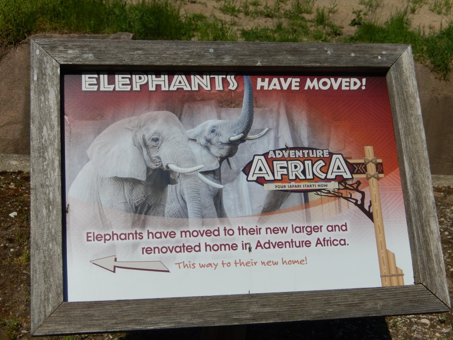 6/11/2019 - The Elephants Have Moved On!