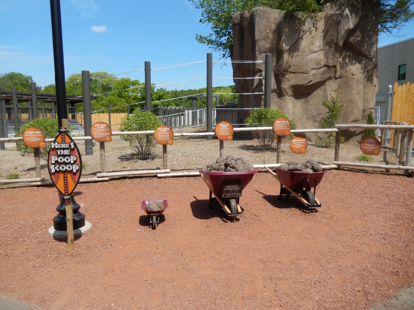 6/11/2019 - The Scoop on Poop!