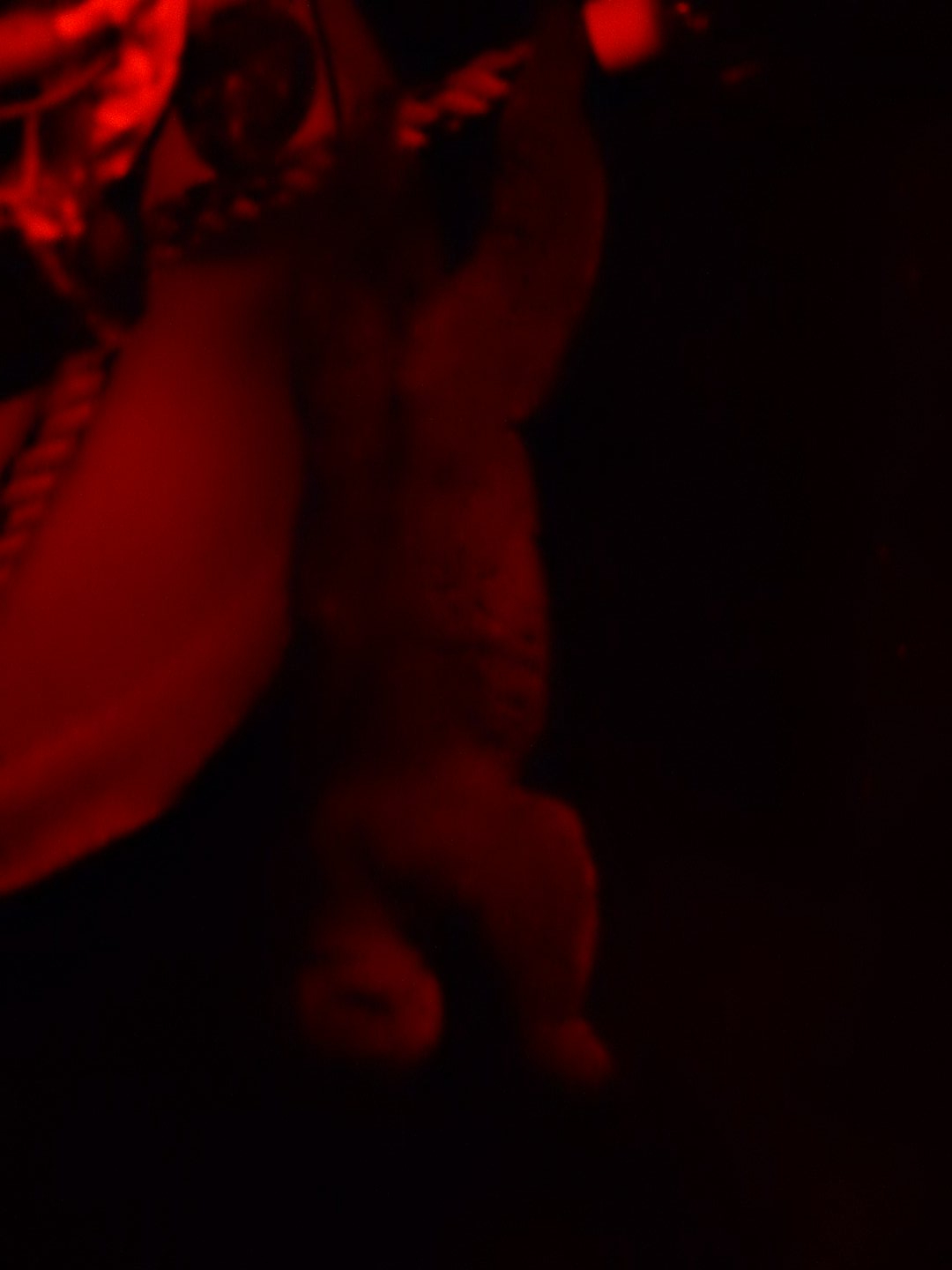 6/11/2019 - Trapeze Artist