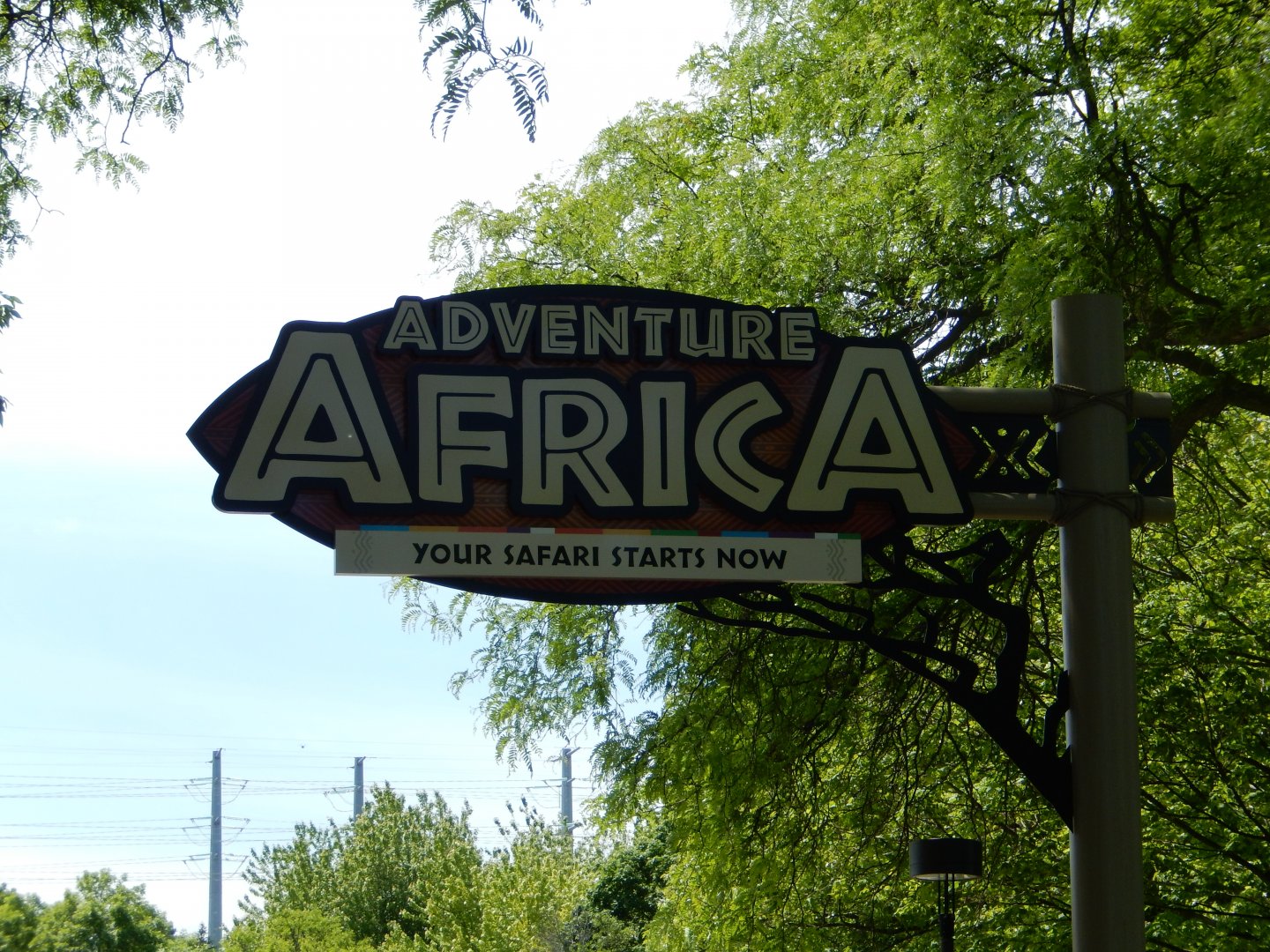 6/11/2019 - Well, Technically My Safari Just Ended At This Point :P