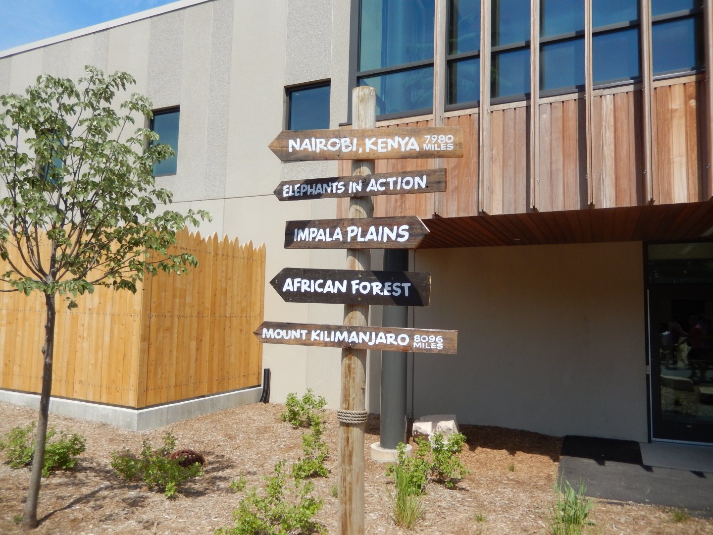 6/11/2019 - Which Way Next?