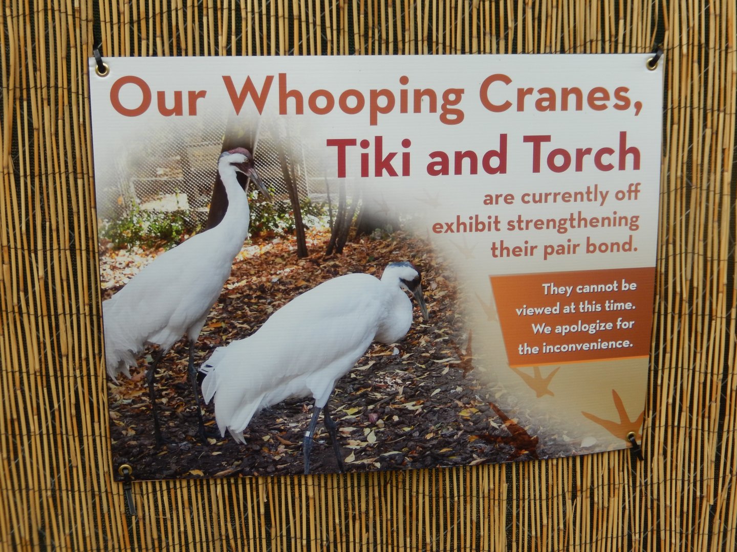 6/11/2019 - Whooping Crane Signage