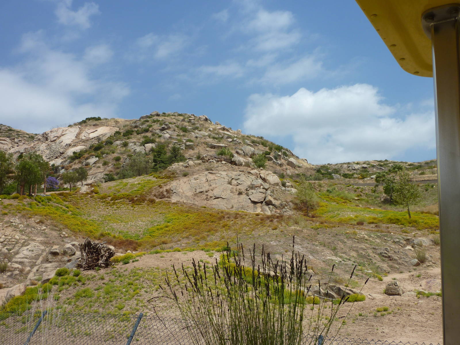6-12-10 JiA Barbary Sheep and Somalian Wild Ass Exhibit