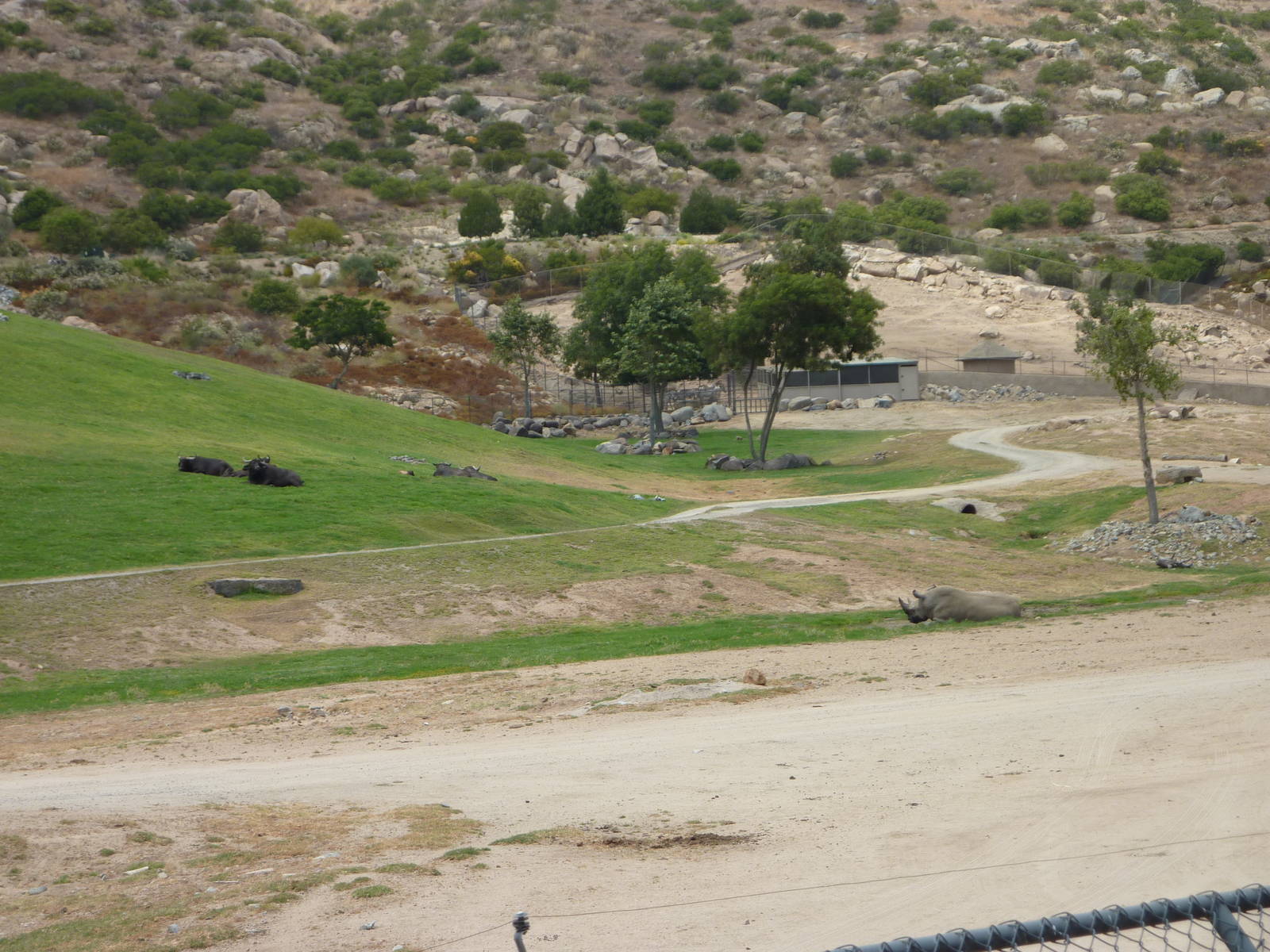 6-12-10 JiA South Africa