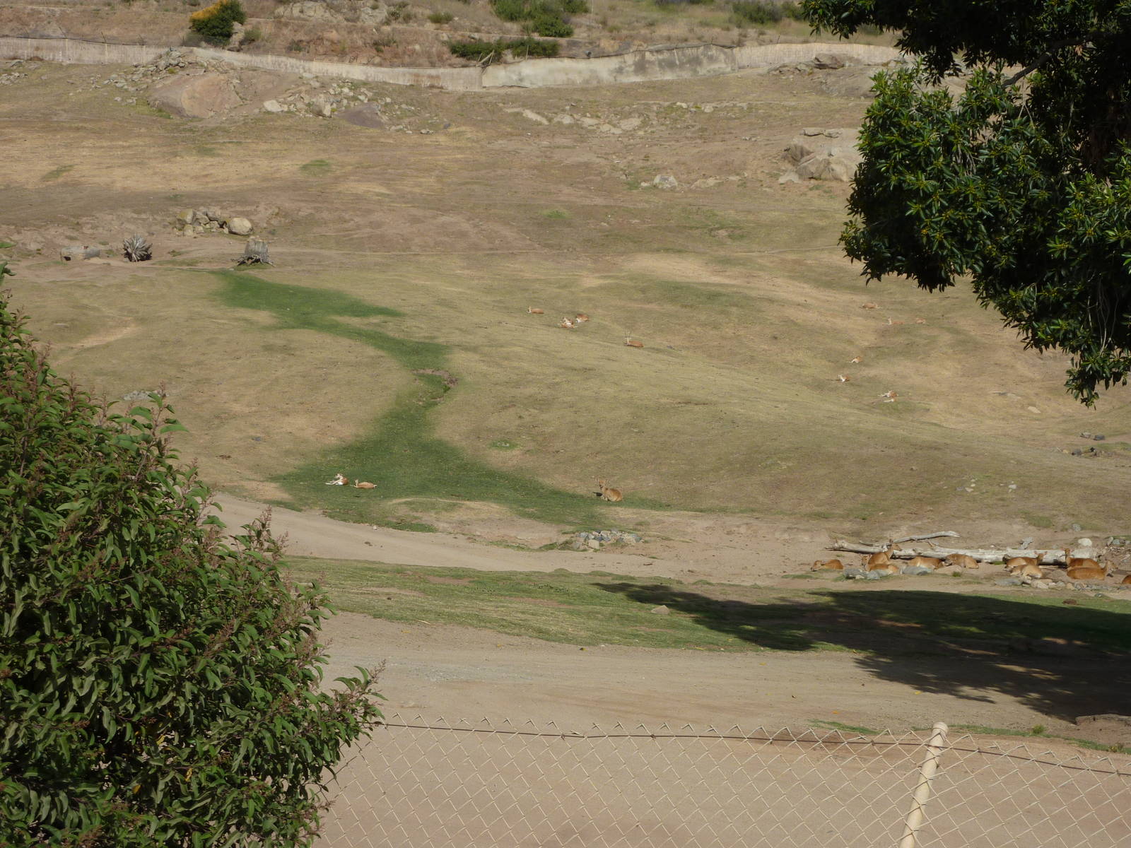 6-12-10 Segway Tour - Barashinga