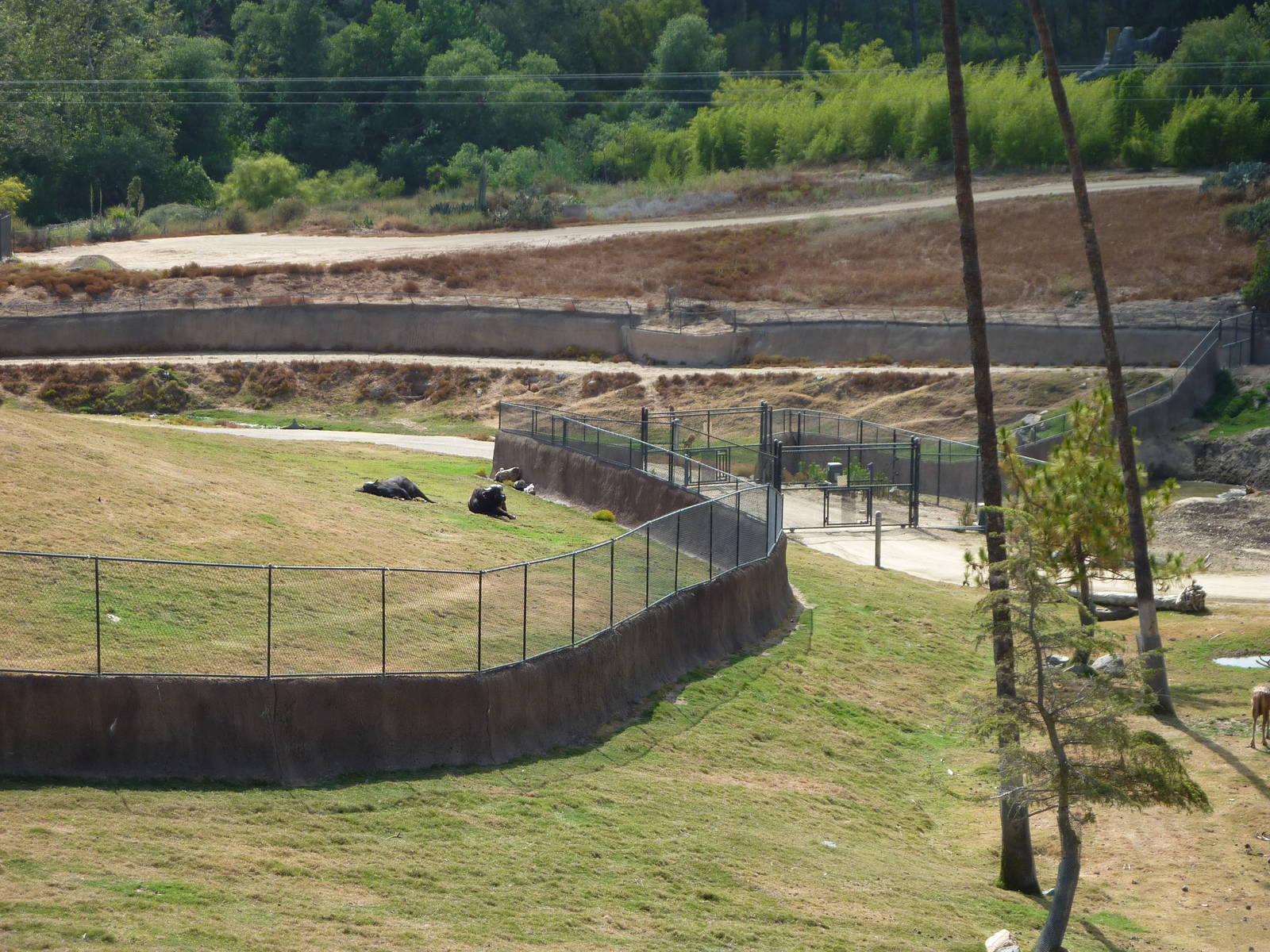 6 -12-10 Segway Tour - Border of East Africa and Central Asia