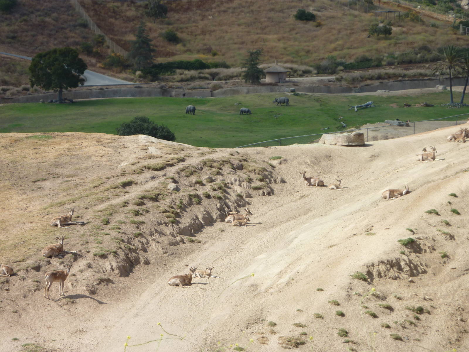 6-12-10 Segway Tour - Central Asia