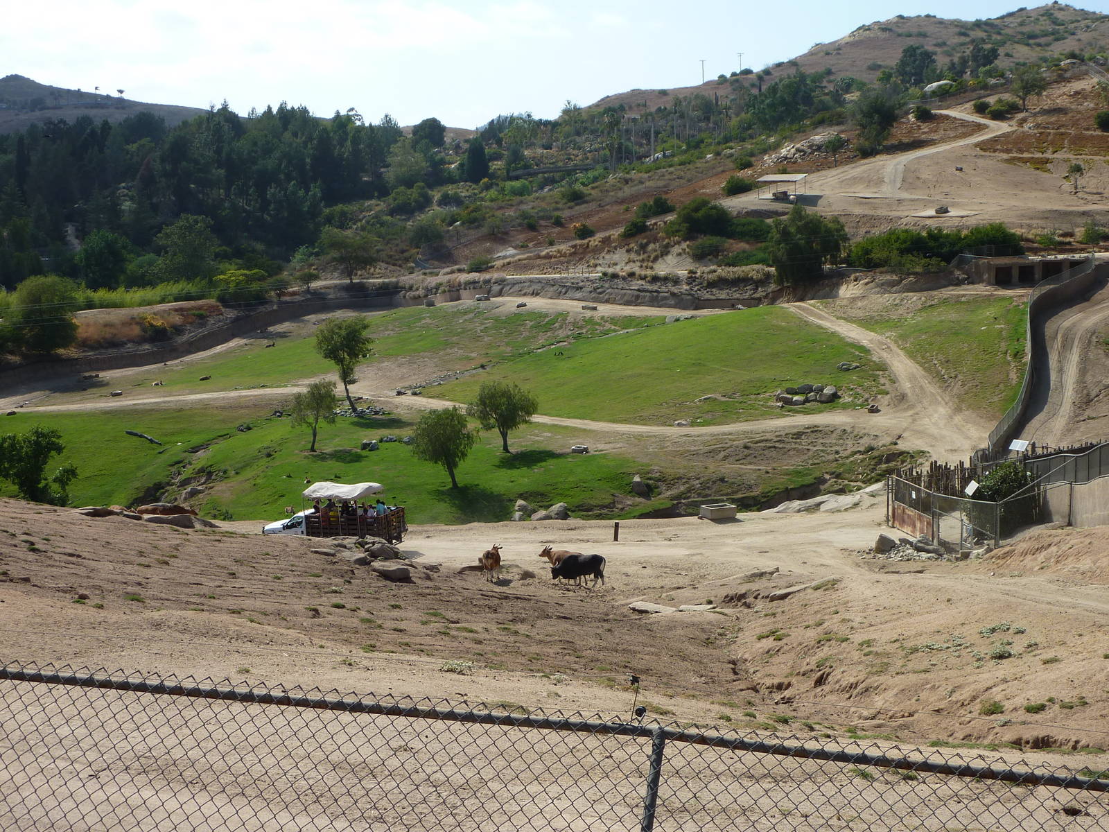 6-12-10 Segway Tour - Central Asia