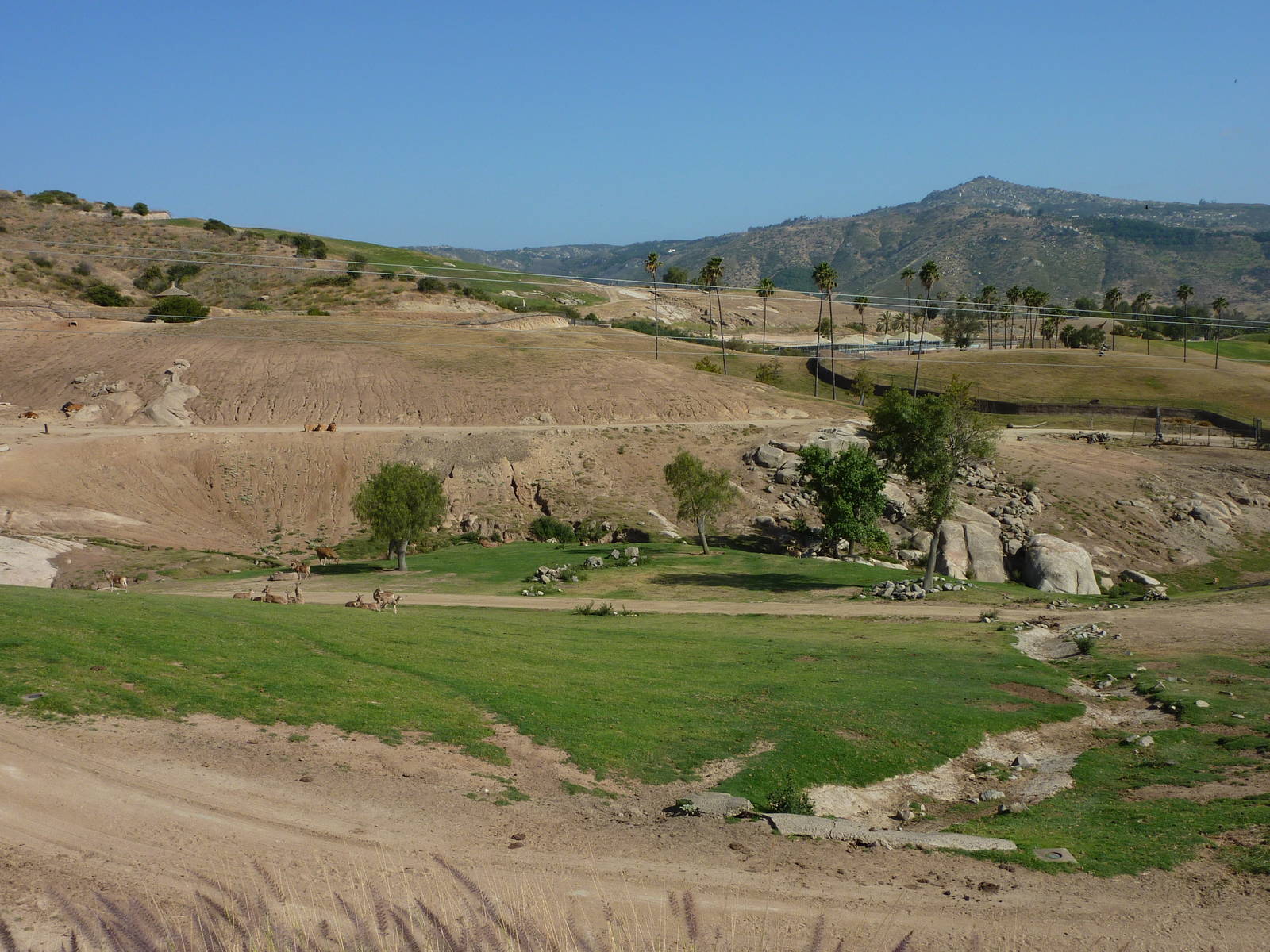 6-12-10 Segway Tour - Central Asia