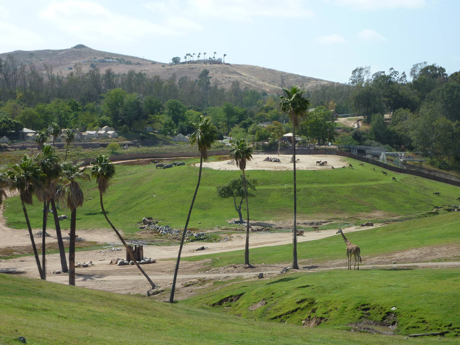 6-12-10 Segway Tour - East Africa