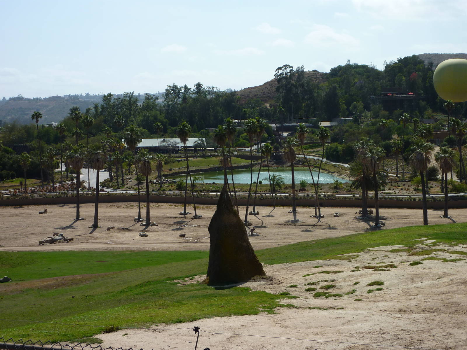 6-12-10 Segway Tour - East Africa