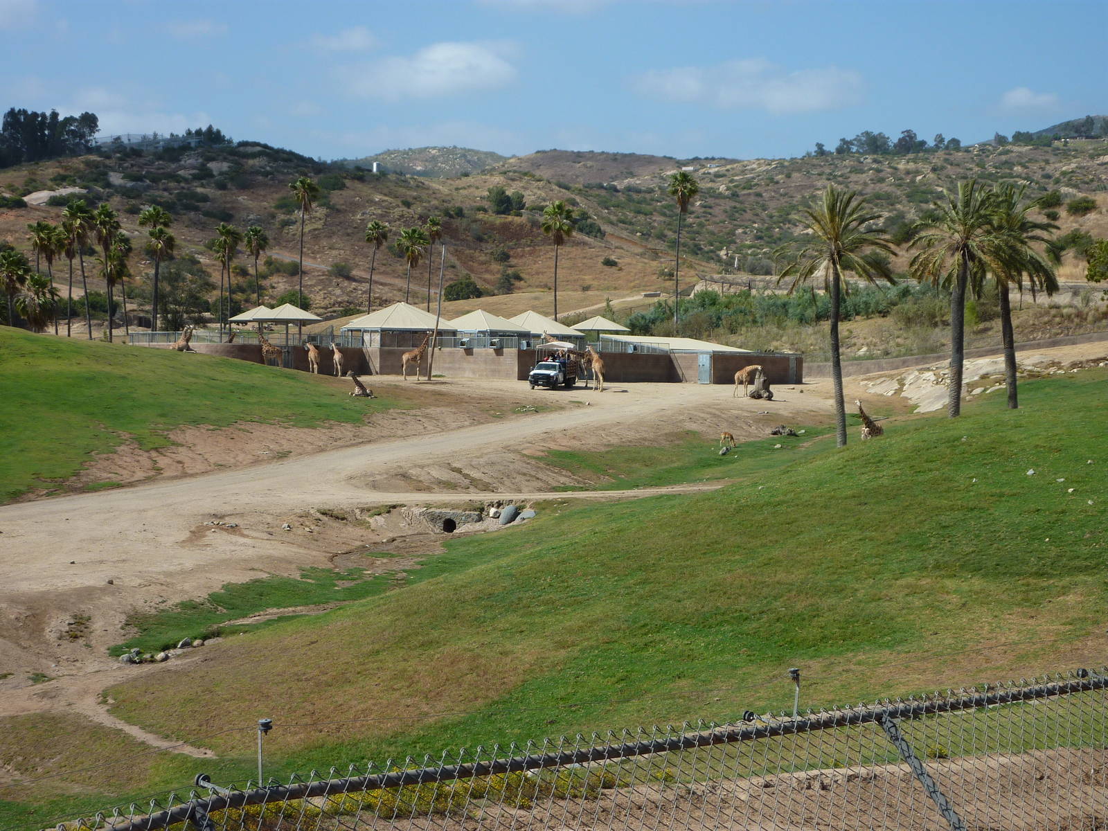 6-12-10 Segway Tour - East Africa