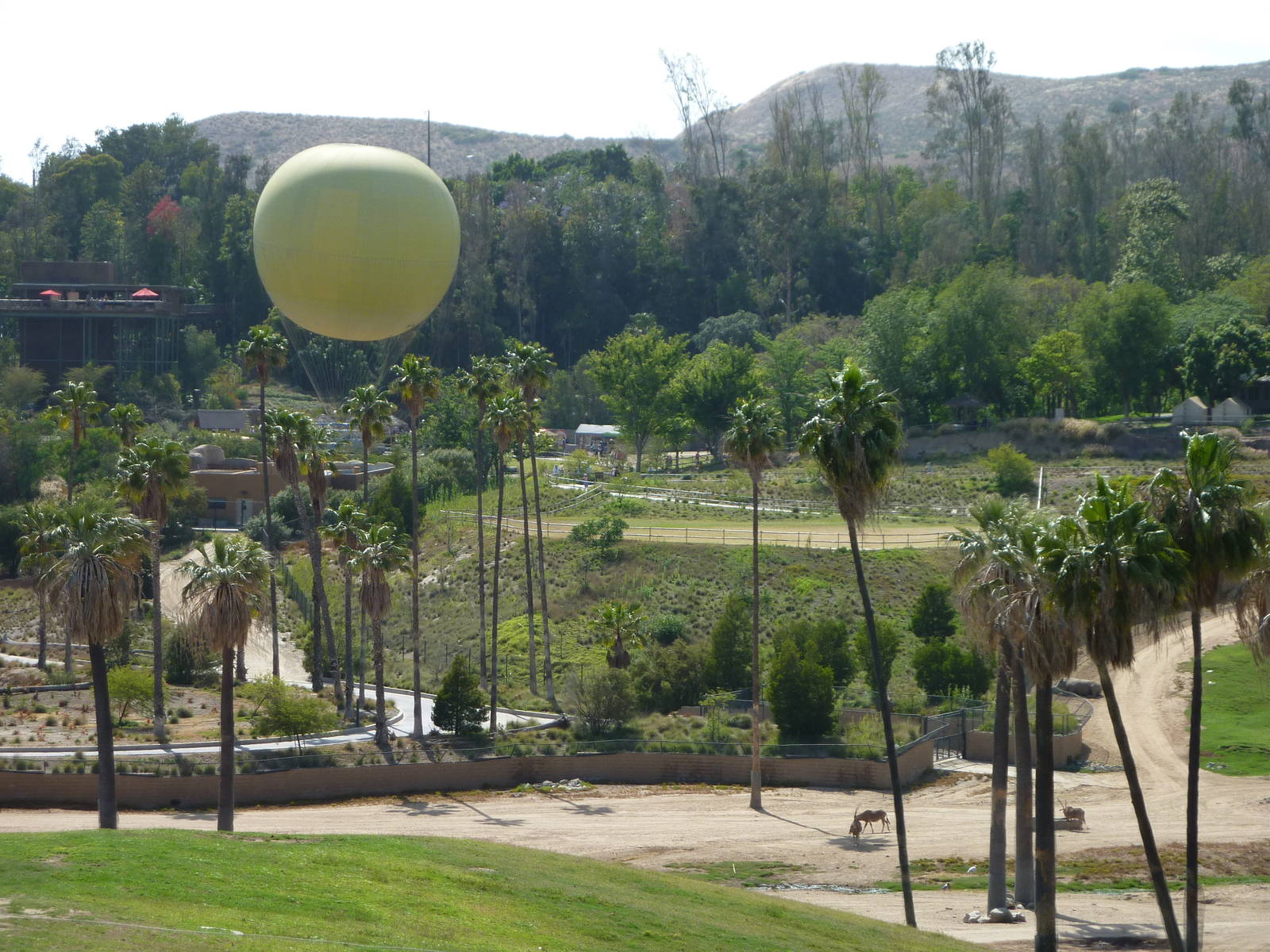 6-12-10 Segway Tour - East Africa