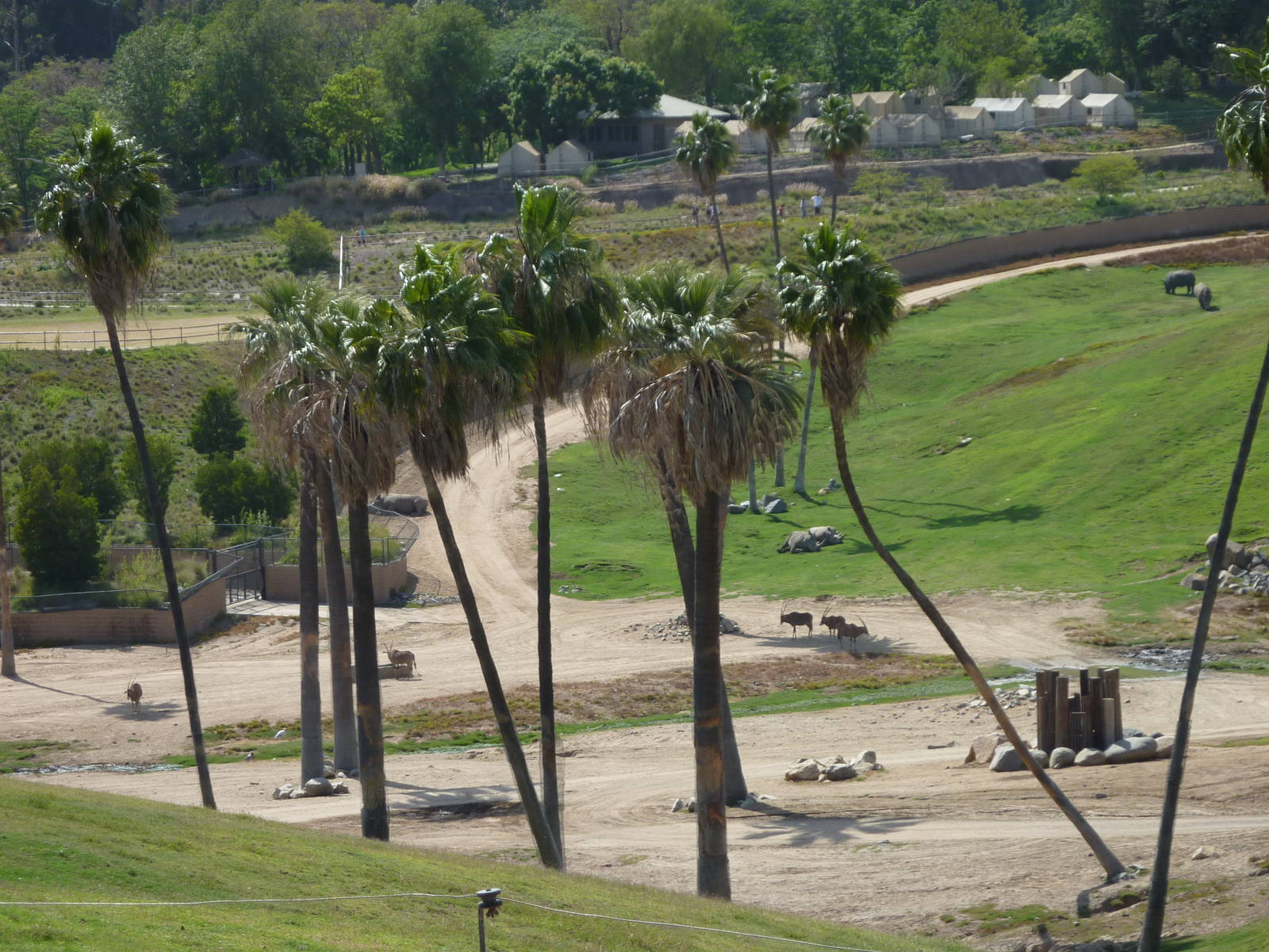 6-12-10 Segway Tour - East Africa