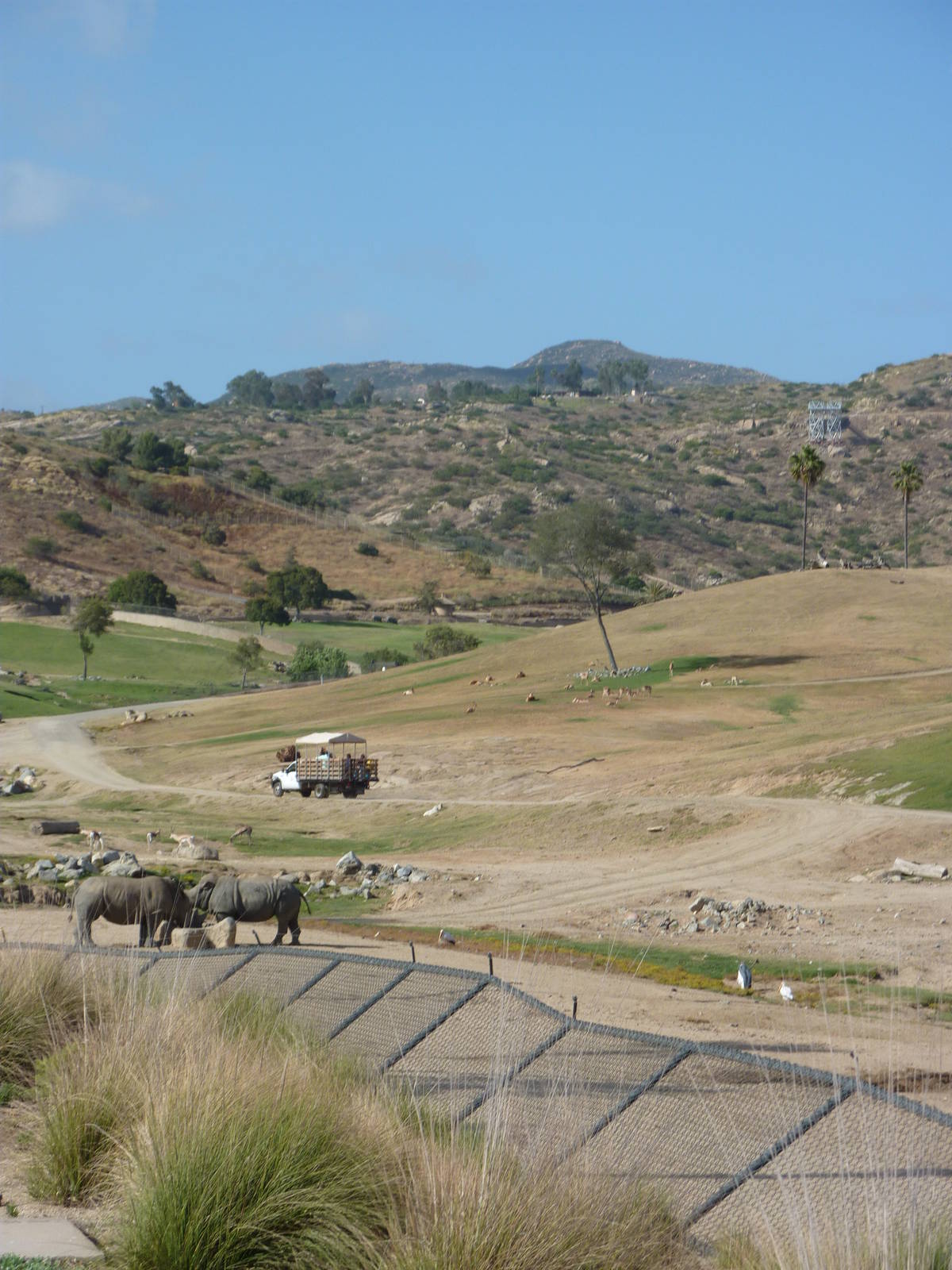 6-12-10 Segway Tour - East Africa