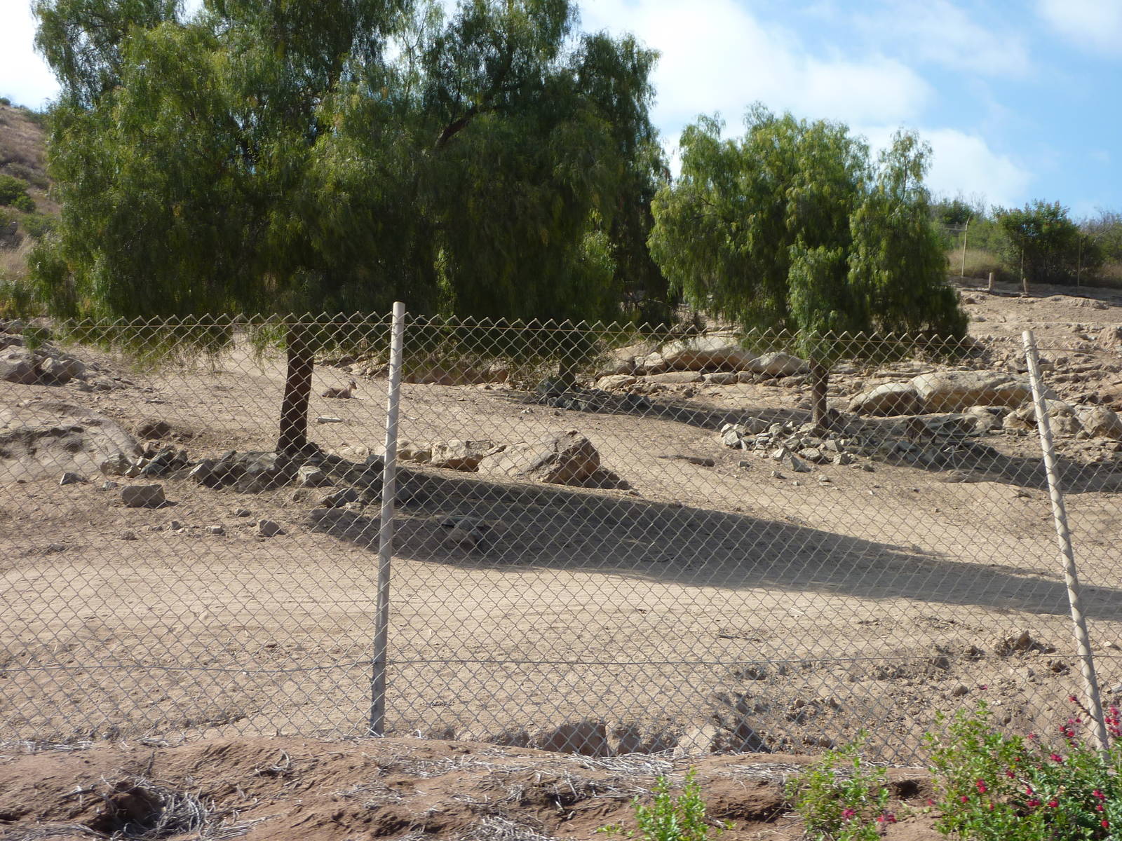 6-12-10 Segway Tour - Markhor