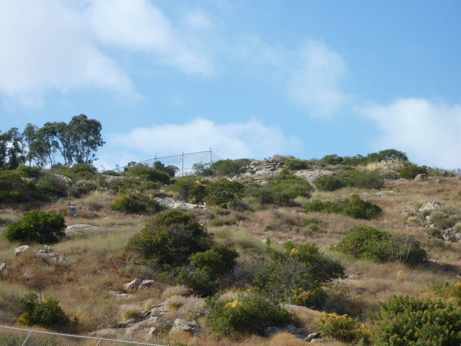 6-12-10 Segway Tour - Off exhibit Condor Center