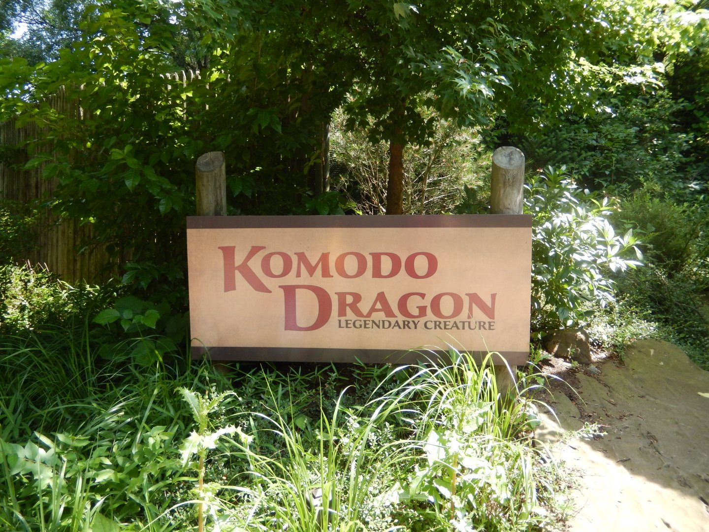 6/17/2018 - Cool Komodo Sign