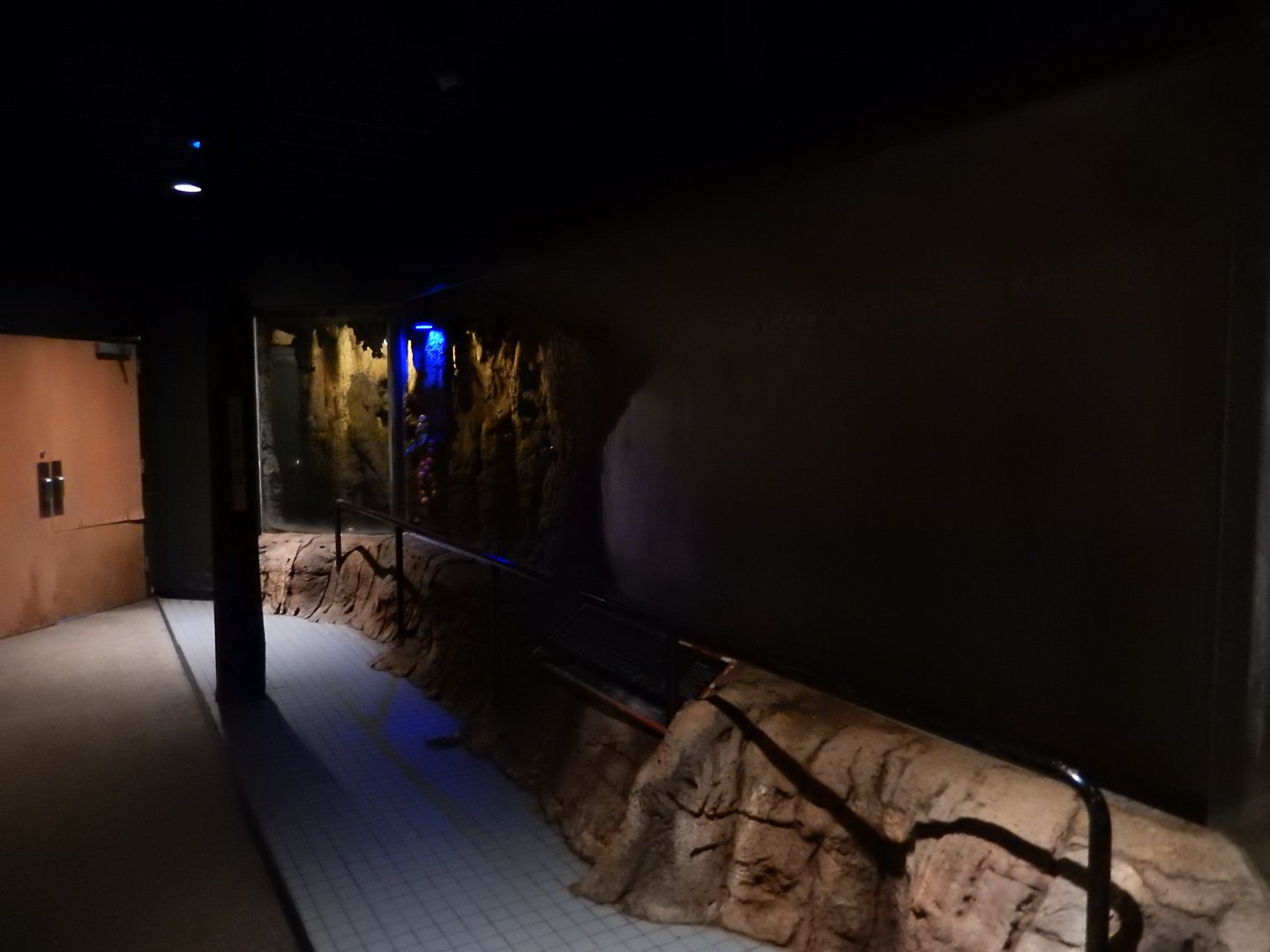 6/17/2018 - Fruit Bat Cave