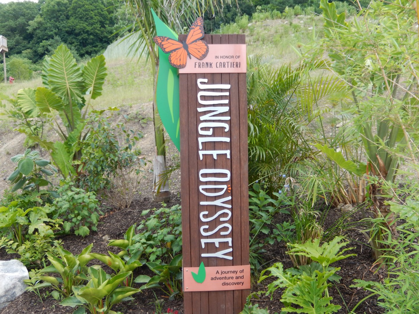6/17/2018 - Jungle Odyssey Entry Sign